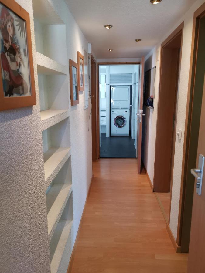 Ferienwohnungen Im Fuerstenland 고싸우 외부 사진